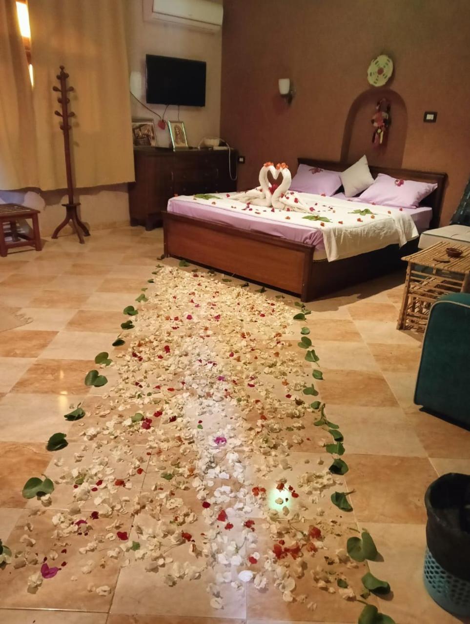 Panta Lodge Siwa بنتا لودج سيوة Siwa Oasis Exterior photo