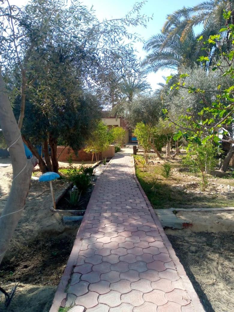 Panta Lodge Siwa بنتا لودج سيوة Siwa Oasis Exterior photo