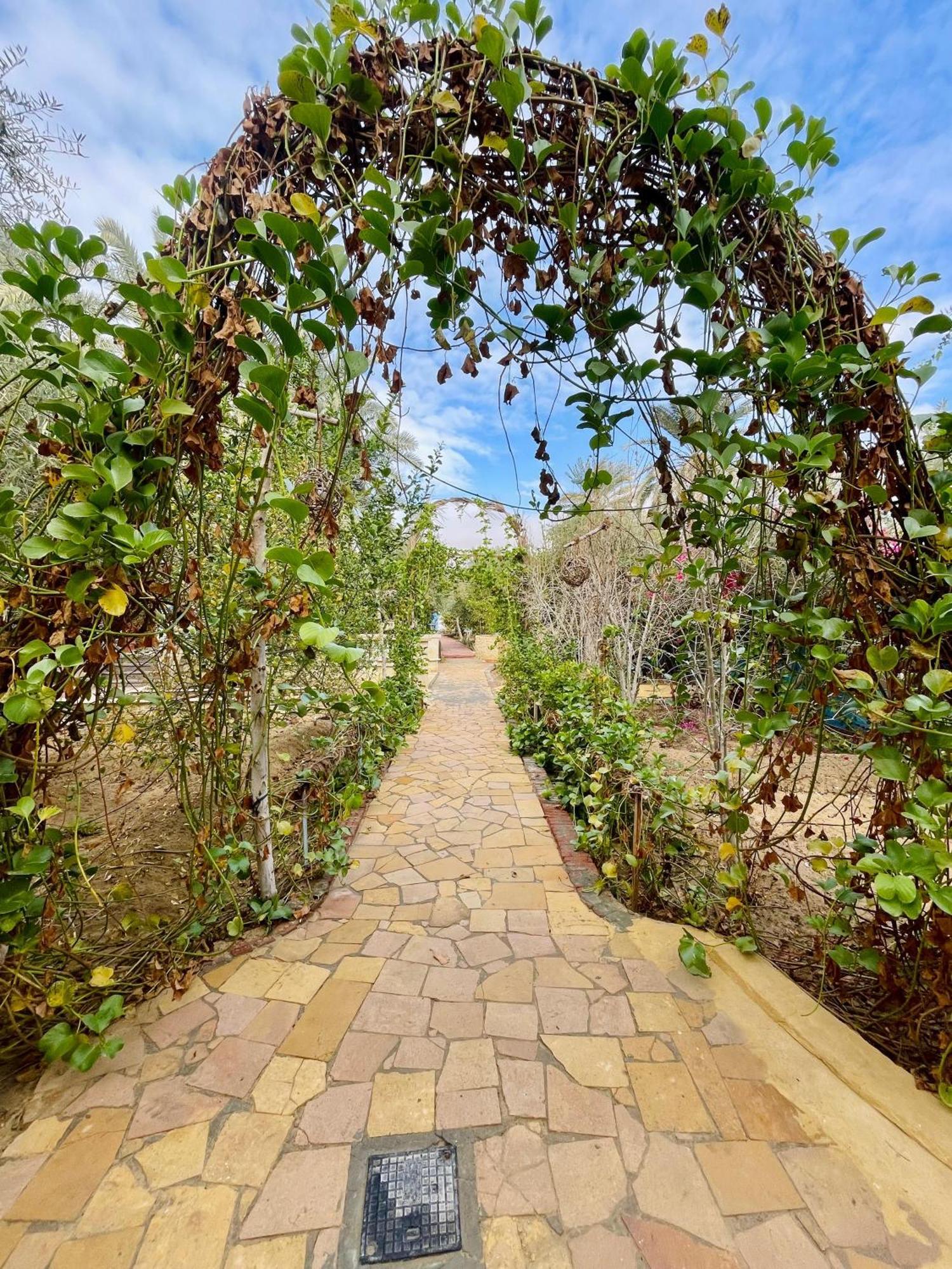 Panta Lodge Siwa بنتا لودج سيوة Siwa Oasis Exterior photo